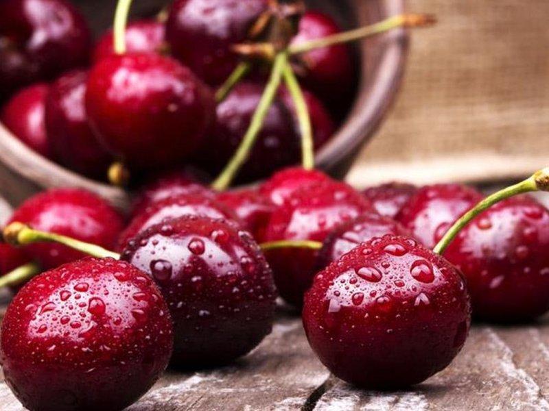 Вишня купить саженцы из питомника в Зеленодольске